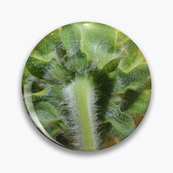 Item preview, Sunflower Backside designed and sold by LisaWootenPhoto.