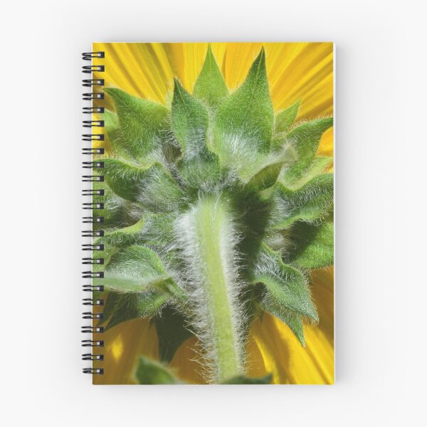 Item preview, Sunflower Backside designed and sold by LisaWootenPhoto.
