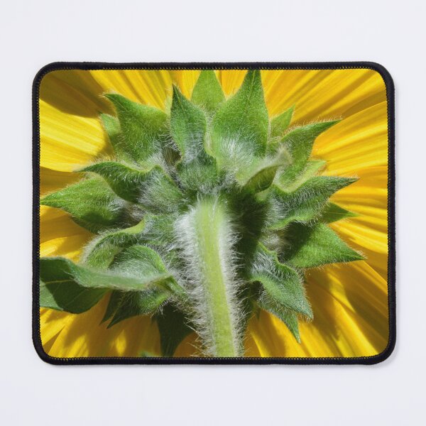 Item preview, Sunflower Backside designed and sold by LisaWootenPhoto.