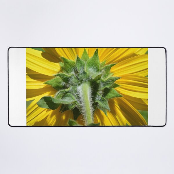 Item preview, Sunflower Backside designed and sold by LisaWootenPhoto.