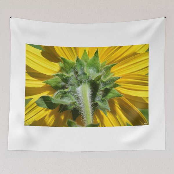 Item preview, Sunflower Backside designed and sold by LisaWootenPhoto.