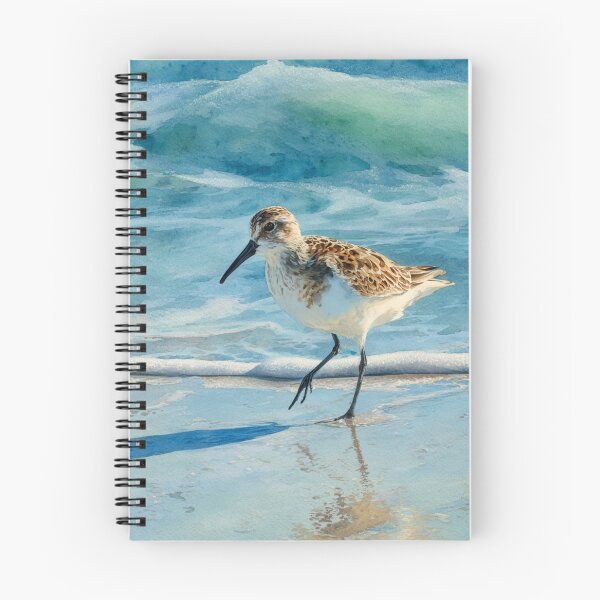 Item preview, A Sandpiper running along a shoreline, Birds in Motion designed and sold by CDC40.