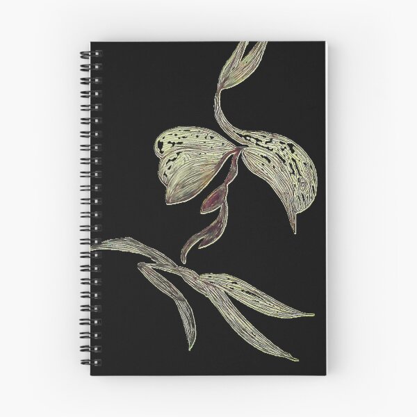 Item preview, Hummingbird the Fallen Warrior Ink Illustration - Dark Edition designed and sold by energyoflove333.