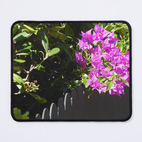 Item preview, Wall Flowers. designed and sold by Paul Pasco.