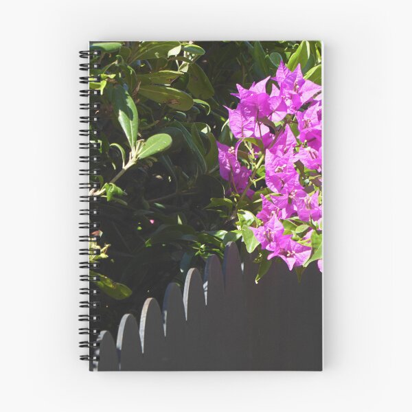 Item preview, Wall Flowers. designed and sold by Paul Pasco.