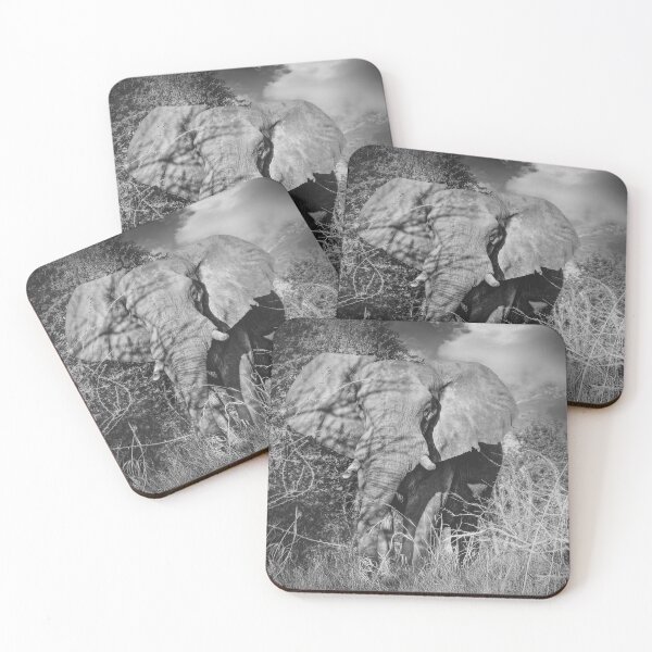 Item preview, Elephant On Approach in Black and White designed and sold by Kay Brewer.