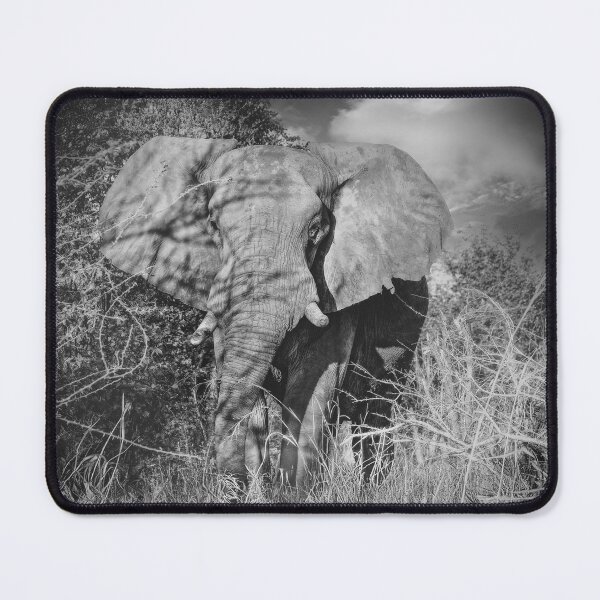 Item preview, Elephant On Approach in Black and White designed and sold by Kay Brewer.
