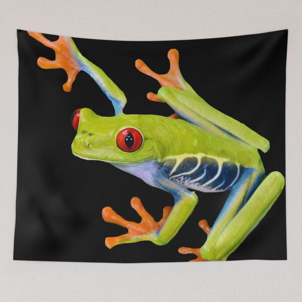 Item preview, Frog designed and sold by Reinrab.