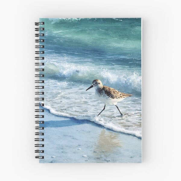 Item preview, A Sandpiper running along a shoreline, Birds in Motion designed and sold by CDC40.