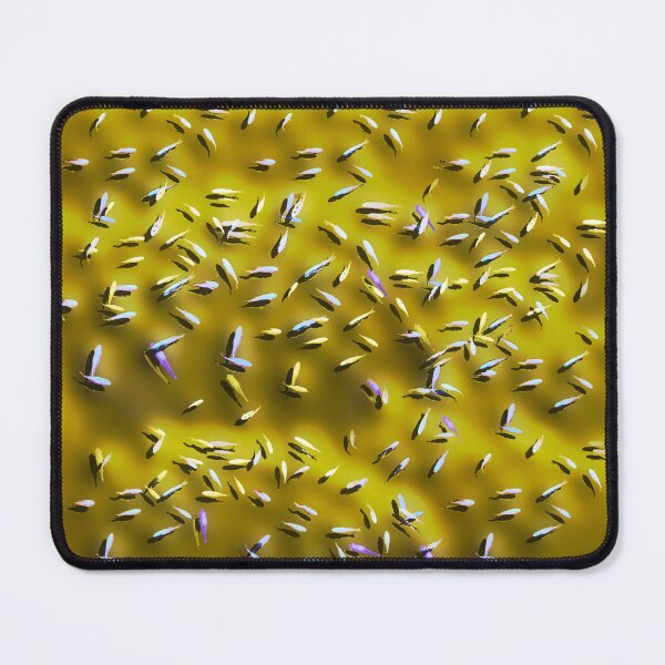 Item preview, School of fish in golden light designed and sold by leobrix.
