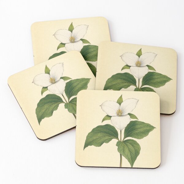 Item preview, Vintage Trillium Botanical Illustration Print designed and sold by NuvoraNest.
