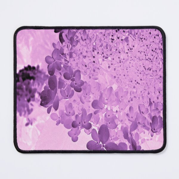 Item preview, Elegant Pink and Black Limelight Hydrangea designed and sold by myrubiogarden.