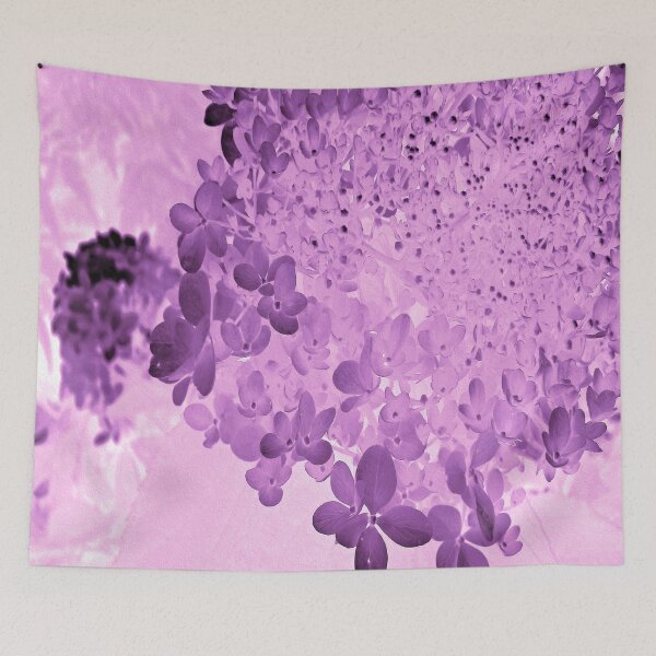 Item preview, Elegant Pink and Black Limelight Hydrangea designed and sold by myrubiogarden.