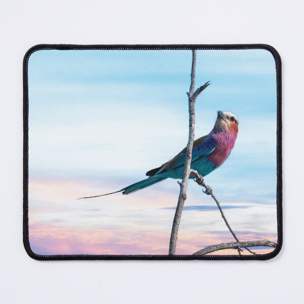 Item preview, The Colors of a Lilac Breasted Roller  designed and sold by Kay Brewer.