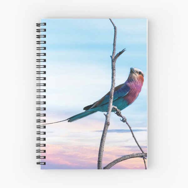 Item preview, The Colors of a Lilac Breasted Roller designed and sold by Kay Brewer.