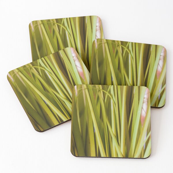 Item preview, Close-Up Green Grass Texture Abstract Plant Leaves Indoor Foliage Background Vertical Pattern designed and sold by Nmallia.