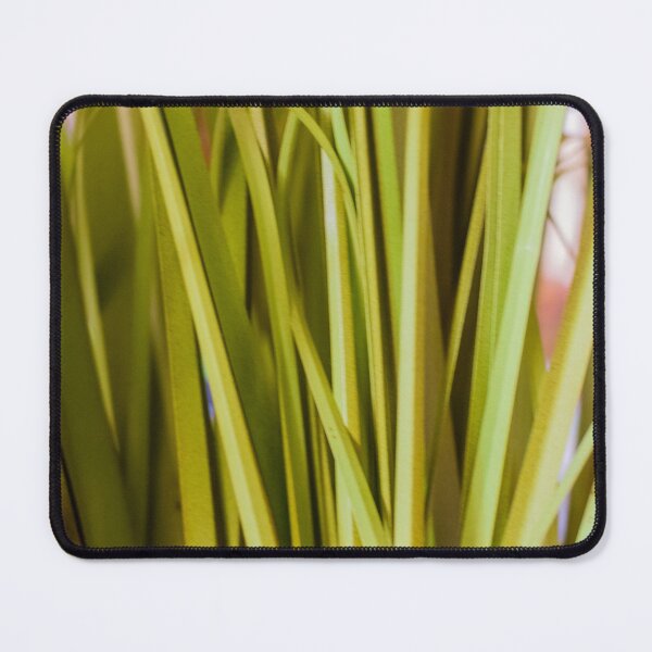 Item preview, Close-Up Green Grass Texture Abstract Plant Leaves Indoor Foliage Background Vertical Pattern designed and sold by Nmallia.