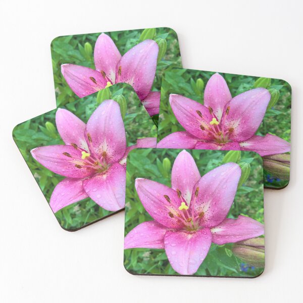 Item preview, Pink Asian Lily Macro Photography – Floral Close‑Up Wall Art designed and sold by Tempraneo Photo.