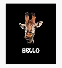 Funny giraffe Photographic Print