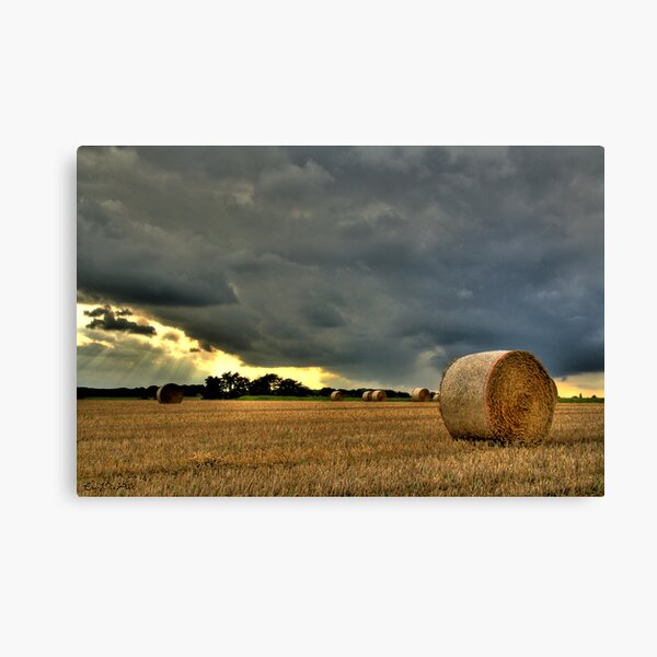 Kornfeld Canvas Print