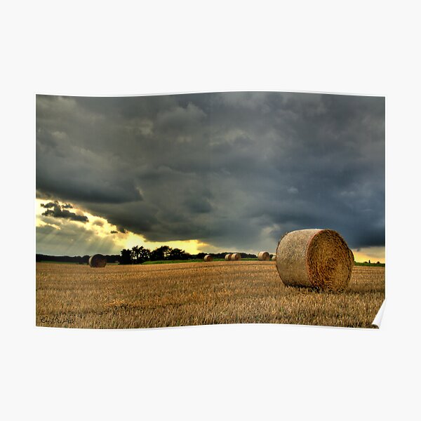 Kornfeld Poster