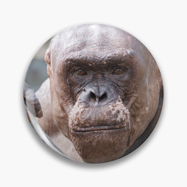 Item preview, Soulful Eyes of Jambo designed and sold by rawshutterbug.