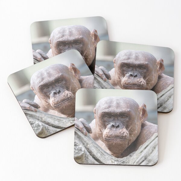 Item preview, Soulful Eyes of Jambo designed and sold by rawshutterbug.