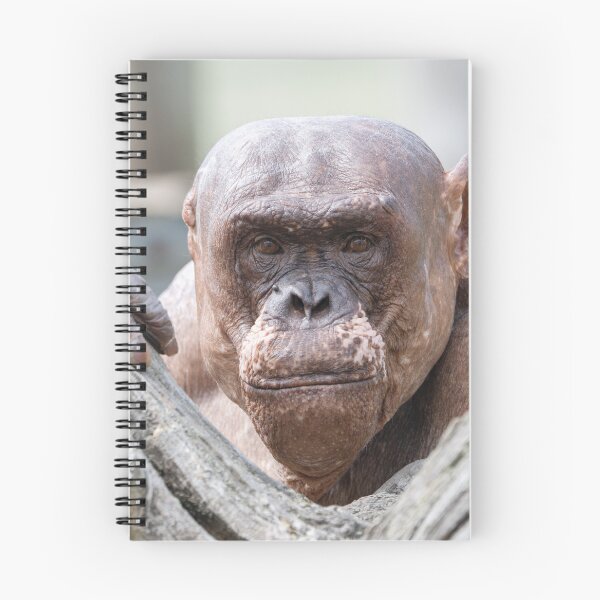 Item preview, Soulful Eyes of Jambo designed and sold by rawshutterbug.