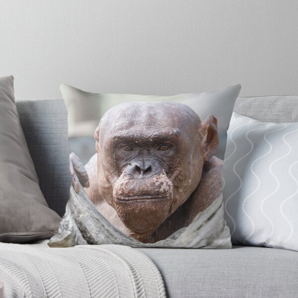 Item preview, Soulful Eyes of Jambo designed and sold by rawshutterbug.