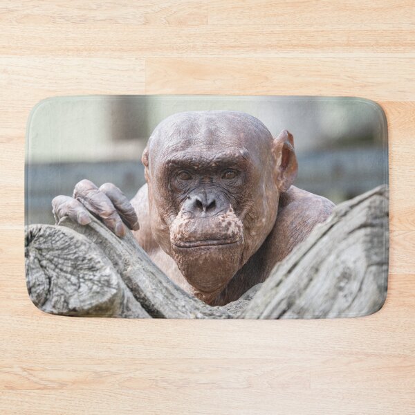 Item preview, Soulful Eyes of Jambo designed and sold by rawshutterbug.