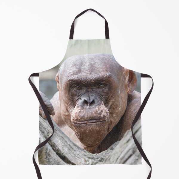 Item preview, Soulful Eyes of Jambo designed and sold by rawshutterbug.
