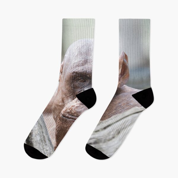 Item preview, Soulful Eyes of Jambo designed and sold by rawshutterbug.