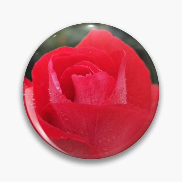 Item preview, Vibrant Red Rose Rosa Blooming And Showing Its Beauty designed and sold by vtspatial.