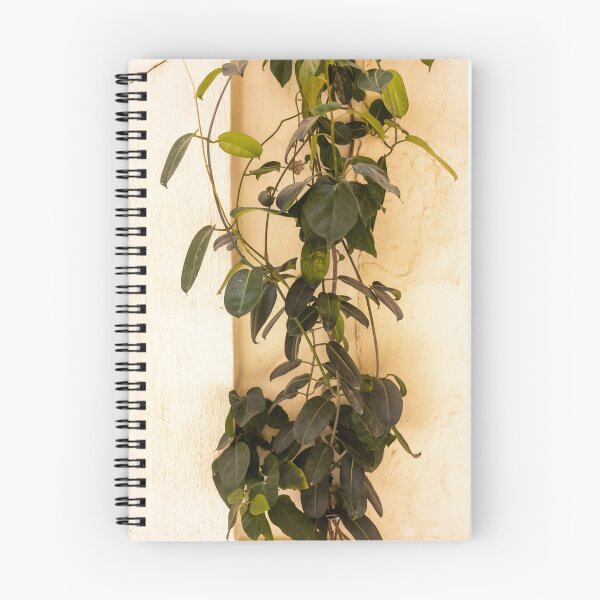 Item preview, Climbing Vine Plant Trailing Against Textured Beige Wall With Lush Green Leaves designed and sold by Nmallia.