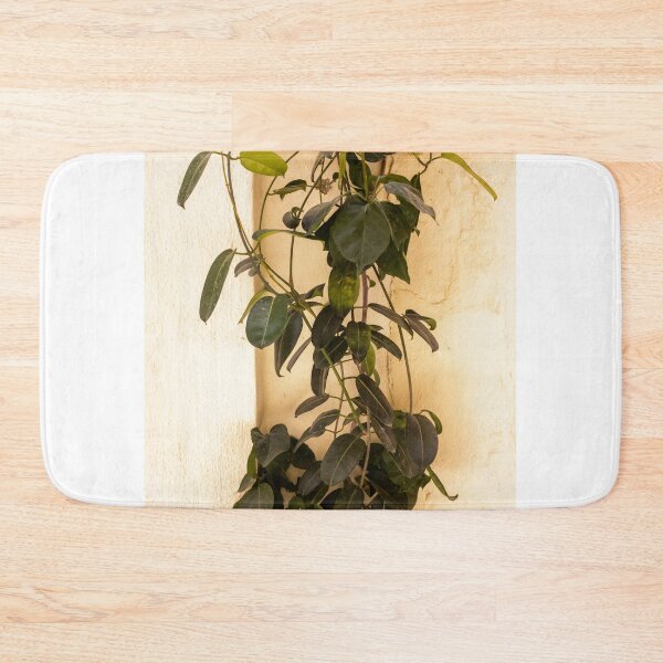 Item preview, Climbing Vine Plant Trailing Against Textured Beige Wall With Lush Green Leaves designed and sold by Nmallia.