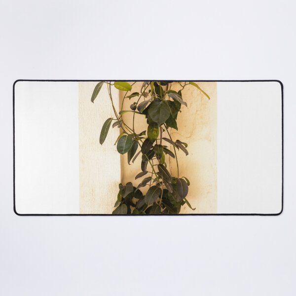 Item preview, Climbing Vine Plant Trailing Against Textured Beige Wall With Lush Green Leaves designed and sold by Nmallia.