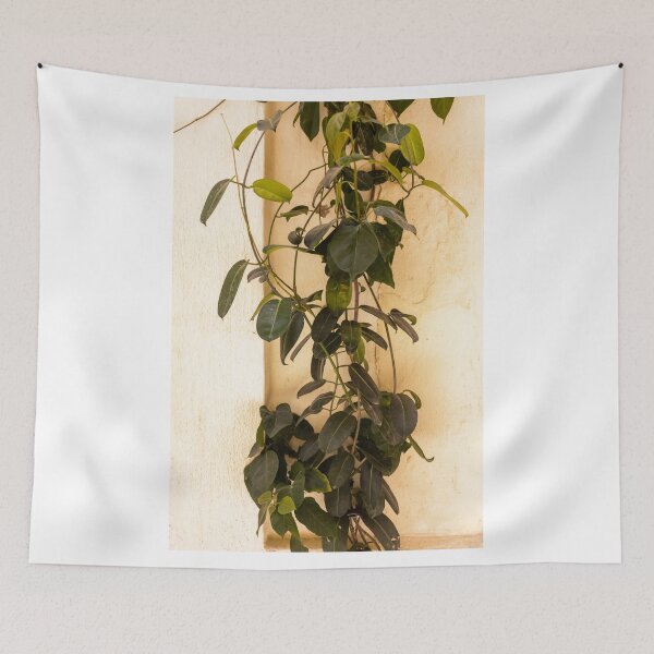 Item preview, Climbing Vine Plant Trailing Against Textured Beige Wall With Lush Green Leaves designed and sold by Nmallia.