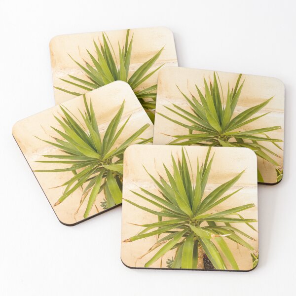 Item preview, Potted Yucca Plant With Spiky Green Leaves Against Textured Beige Wall Indoors designed and sold by Nmallia.