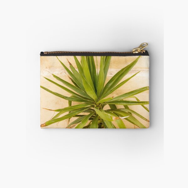 Item preview, Potted Yucca Plant With Spiky Green Leaves Against Textured Beige Wall Indoors designed and sold by Nmallia.