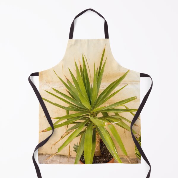 Item preview, Potted Yucca Plant With Spiky Green Leaves Against Textured Beige Wall Indoors designed and sold by Nmallia.