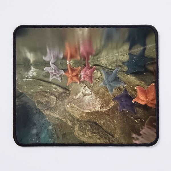 Item preview, Colorful Starfish Cluster on Underwater Rock designed and sold by shanaeartists.