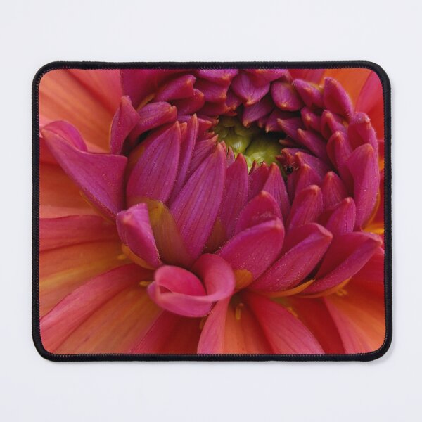 Item preview, Dahlia 'Negroni Sunset' Spiral Centre, Extreme Macro Photography designed and sold by PrettyAround.
