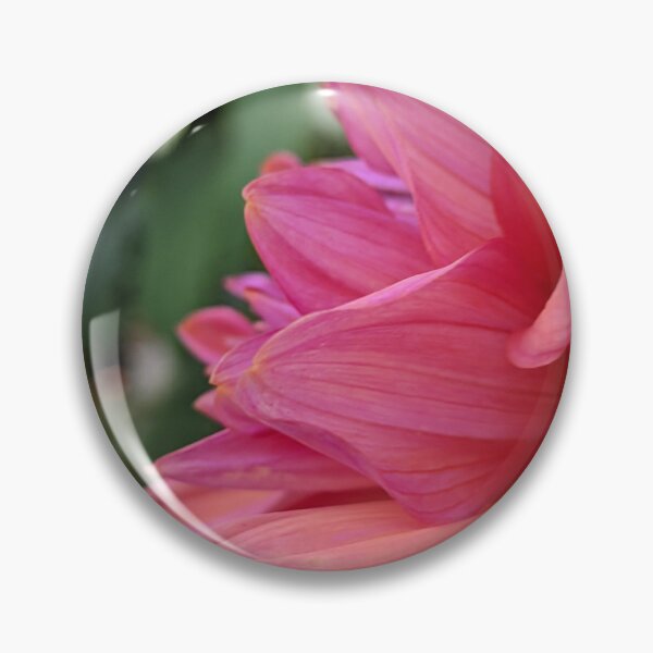 Item preview, Dahlia 'Negroni Sunset' Swirled Petals, Garden Macro Photography designed and sold by PrettyAround.