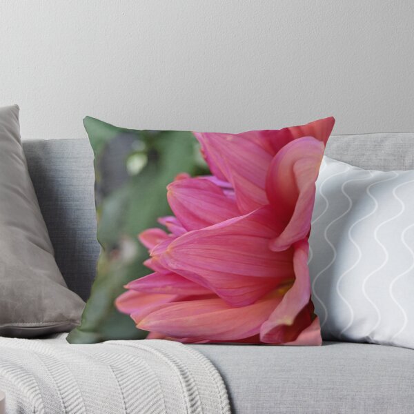 Item preview, Dahlia 'Negroni Sunset' Swirled Petals, Garden Macro Photography designed and sold by PrettyAround.