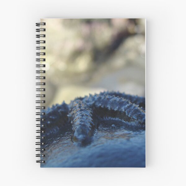 Item preview, Close up View of a Starfish designed and sold by shanaeartists.