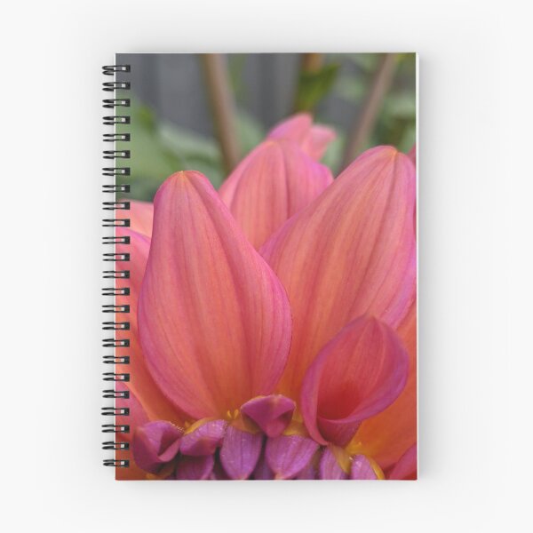 Item preview, Dahlia 'Negroni Sunset' Petal Tips, Macro Botanical Photography designed and sold by PrettyAround.