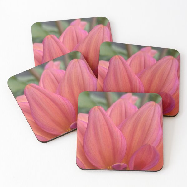 Item preview, Dahlia 'Negroni Sunset' Petal Tips, Macro Botanical Photography designed and sold by PrettyAround.