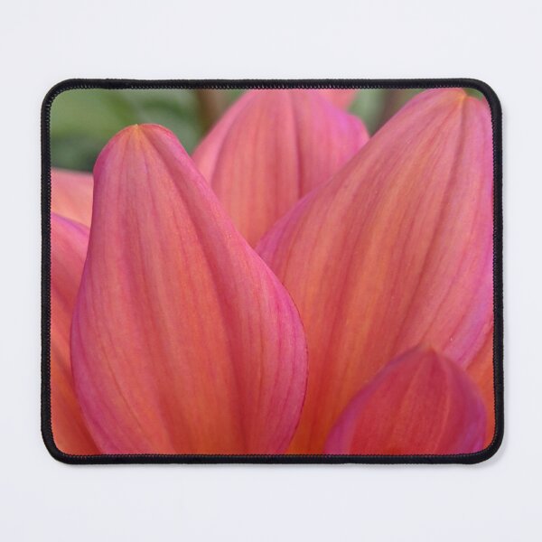Item preview, Dahlia 'Negroni Sunset' Petal Tips, Macro Botanical Photography designed and sold by PrettyAround.