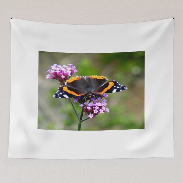 Item preview, feeding red admiral designed and sold by 6059.