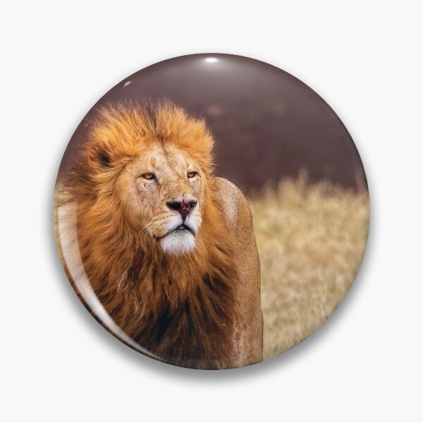 Item preview, Majesty designed and sold by Kay Brewer.